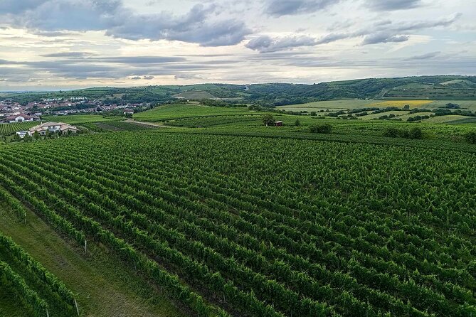 Wine Culture and UNESCO Gems Lednice Valtice Area and Mikulov - Stop 4: Vinařství U Kapličky tastings and Dalibor Lookout Tower panoramas