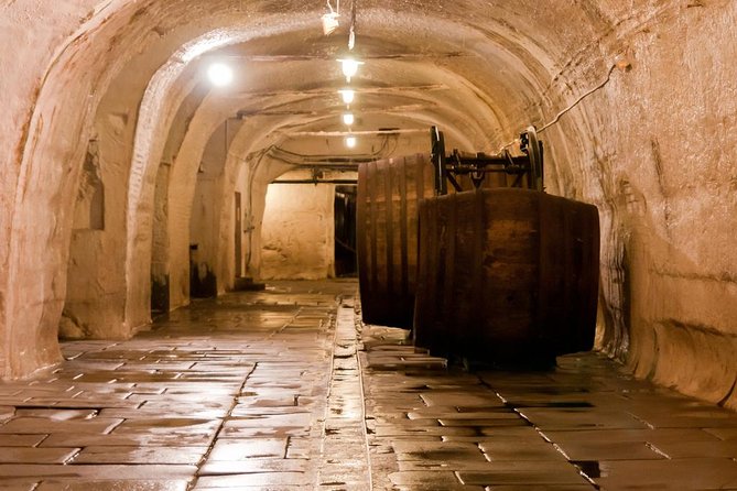 WINE, FOOD & BEER TOUR from Prague to PILSEN - Who this tour is best for
